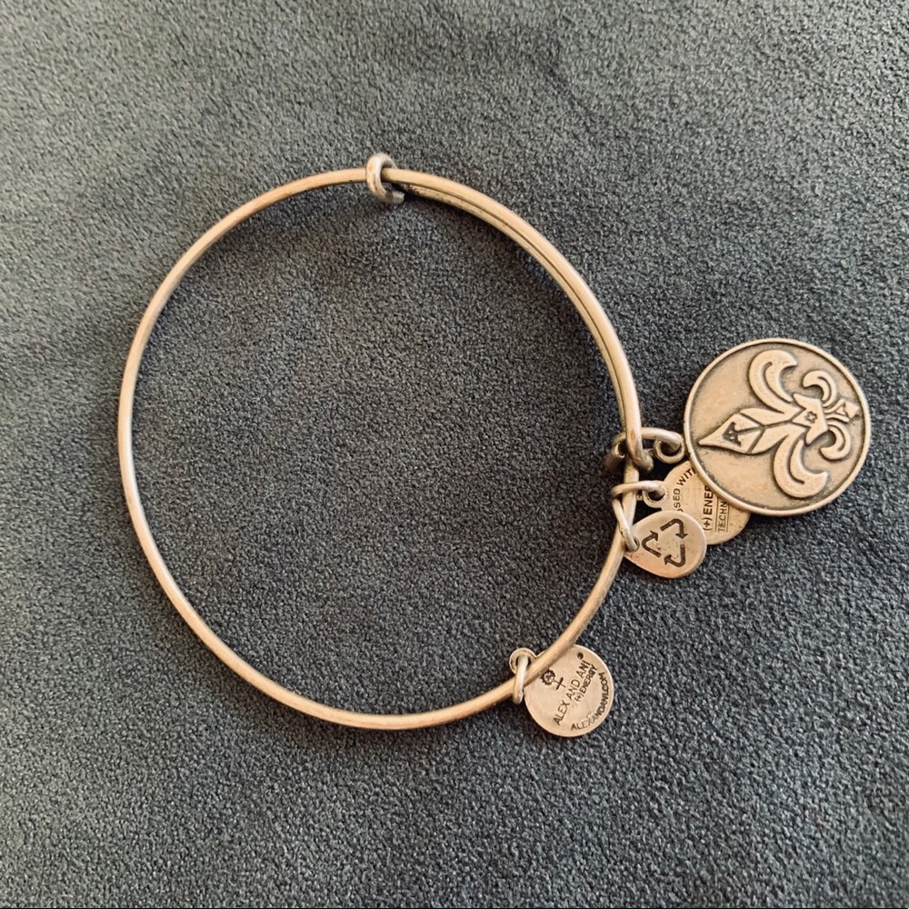 Alex and Ani Charm Bracelet